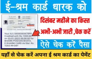 E Shram Card December Payment : ई-श्रम कार्ड दिसंबर महीने का पैसा अभी अभी आया। पेमेंट यहां से चेक करें।